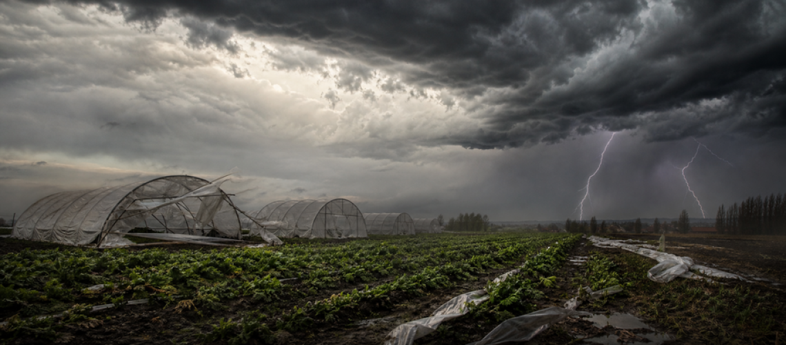 Camille-Dufresne_2026-07-06_orages_en_monteregie